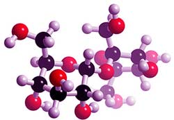 molécula de sacarosa