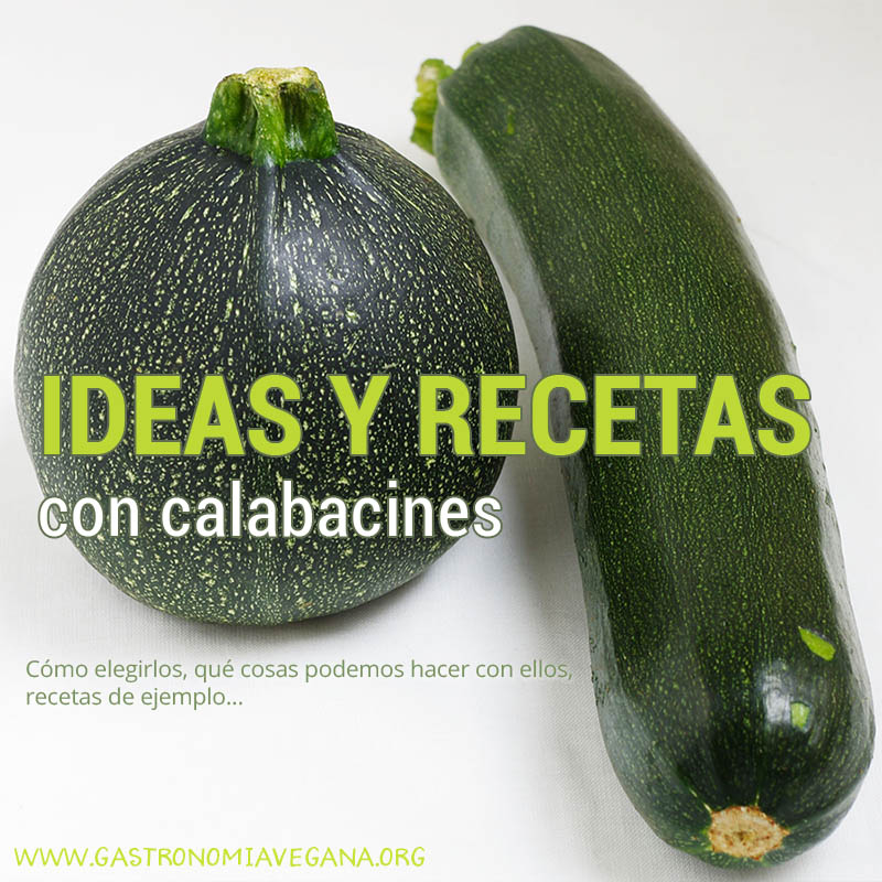 Ideas y recetas 100% vegetales con calabacines - GastronomiaVegana.org